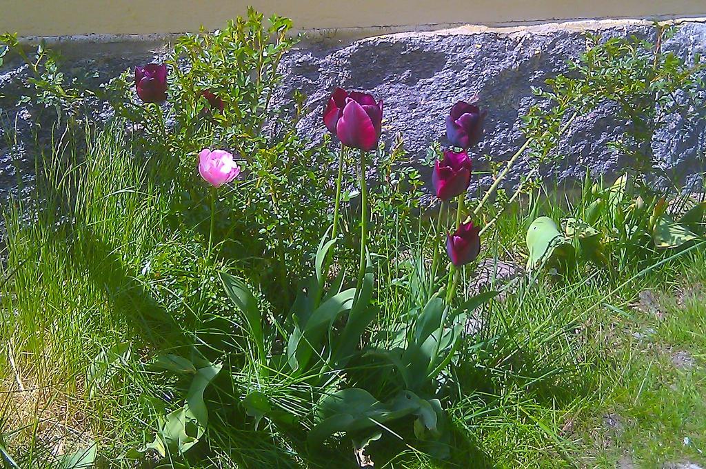 Bed & Breakfast Borakra *