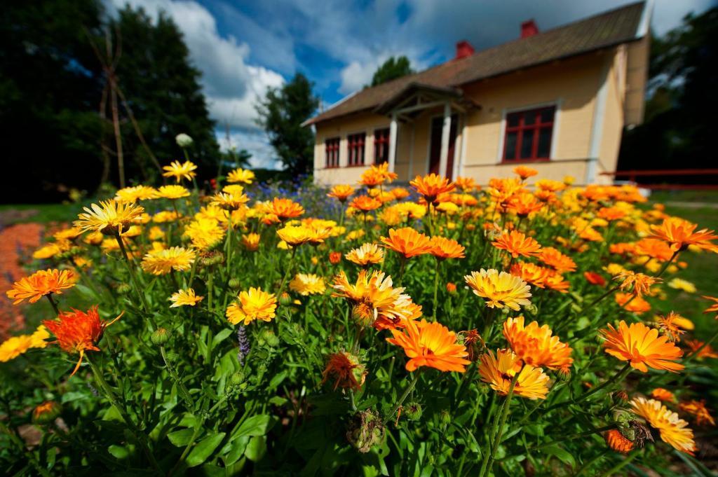 Bed & Breakfast Borakra *